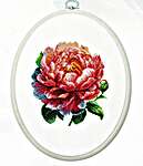 Click for more details of Coral Charm Peony (cross stitch) by Luca - S