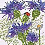 Click for more details of Cornflower Garden (cross stitch) by Bothy Threads