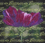 Click/tap for more details of Cosmos (cross stitch) by Janlynn