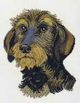 Click for more details of Dachsund (cross stitch) by Eva Rosenstand