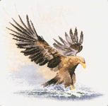 Click/tap for more details of Eagle in Flight (cross stitch) by John Clayton