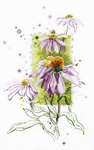 Click for more details of Echinacea (cross stitch) by Magic Needle