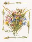 Click for more details of Field Bouquet (cross stitch) by Marjolein Bastin