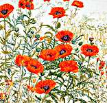 Click for more details of Field Poppies (cross stitch) by Thea Gouverneur