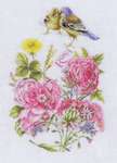 Finches and Roses
