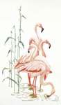 Click for more details of Flamingoes (cross stitch) by Thea Gouverneur