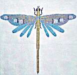 Flower Dragonfly