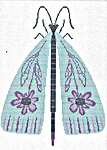 Flower Moth