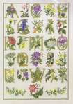 Click for more details of Flowers ABC (cross stitch) by Permin of Copenhagen