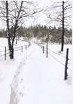 Click/tap for more details of Footsteps in the Snow (cross stitch) by Permin of Copenhagen