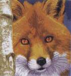 Click for more details of Fox (cross stitch) by Lanarte