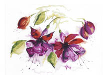 Click for more details of Fuchsia in Watercolour (cross stitch) by Lanarte