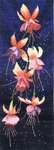 Click for more details of Fuchsia Panel (cross stitch) by John Clayton