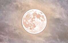 Click/tap for more details of Full Moon Pink -32 count Linen (fabric) by Fabric Flair