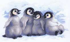 Funny Penguins