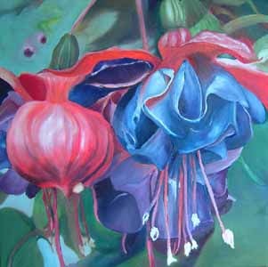 Click for more details of Fuschia (oil on canvas) by Shirley Rothwell