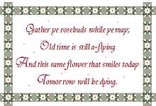 Click/tap for more details of Gather ye Rosebuds .... (cross stitch) by Anne Peden