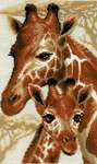 Giraffes