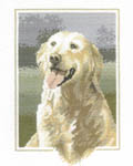 Click for more details of Golden Retriever (cross stitch) by John Stubbs