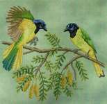 Click for more details of Green Jays (cross stitch) by Crossed Wing Collection