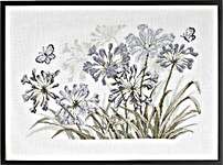 Grey Agapanthus