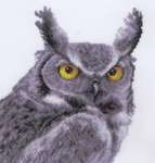 Click for more details of Grey Owl (cross stitch) by Vervaco