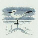Click for more details of Gull in Winter (cross stitch) by Haandarbejdets Fremme