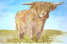 Click for more details of Hamish (watercolour on paper) by Julie Peden