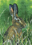 Click for more details of Hare (cross stitch) by Nigel Artingstall