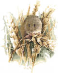 Click for more details of Harvest Mouse (cross stitch) by John Stubbs