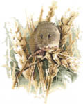 Harvest Mouse