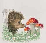 Hedgehog and Toadstools