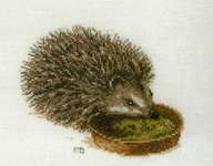 Click for more details of Hedgehog (cross stitch) by Marjolein Bastin