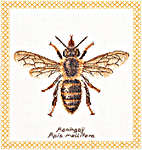 Honey Bee - 16 count Aida