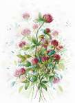 Click/tap for more details of Honey Clover (cross stitch) by MP Studios