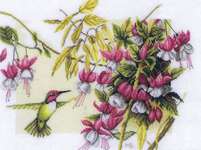 Click for more details of HummingBird with Fuchsia (cross stitch) by Marjolein Bastin