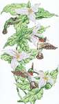 Click for more details of Hummingbirds (cross stitch) by Kappie Originals