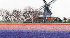 Hyacinth Fields