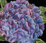 Click for more details of Hydrangea (cross stitch) by Thea Gouverneur