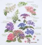 Click for more details of Hydrangea Sampler (cross stitch) by Thea Gouverneur
