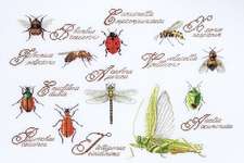 Click for more details of Insect Sampler (cross stitch) by Thea Gouverneur