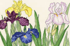 Click for more details of Iris Blooms (cross stitch) by Bothy Threads