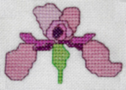 Iris Motif