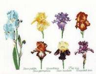 Click/tap for more details of Iris Panel (cross stitch) by Thea Gouverneur