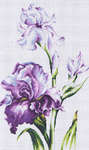 Click for more details of Irises (cross stitch) by Luca - S