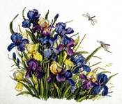 Click for more details of Irises (cross stitch) by Merejka