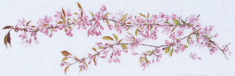 Click/tap for more details of Japanese Cherry Blossom (cross stitch) by Thea Gouverneur
