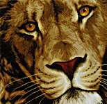 Click for more details of King of Animals (cross stitch) by Lanarte