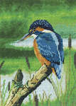 Click for more details of Kingfisher (cross stitch) by Nigel Artingstall