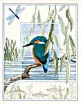 Click for more details of Kingfisher (cross stitch) by Rose Swalwell